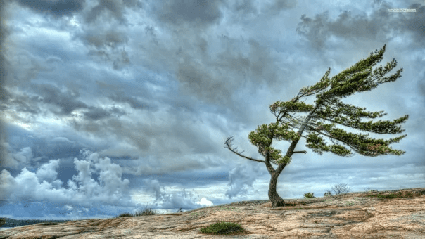 Wind in the Word