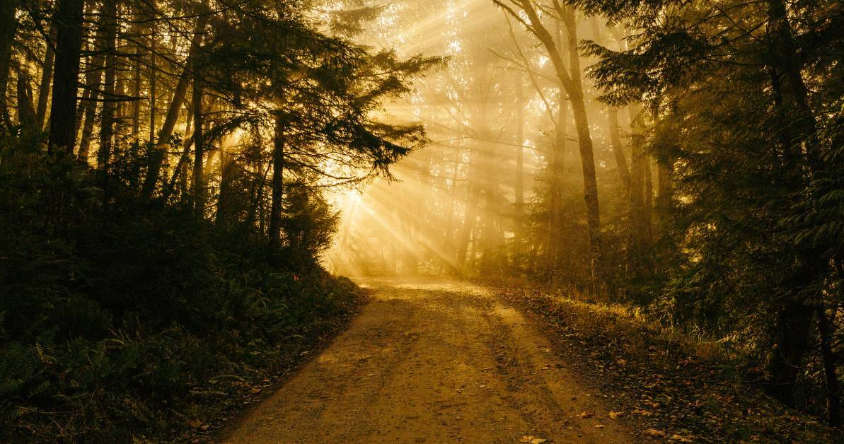 Forming Light and Creating Darkness