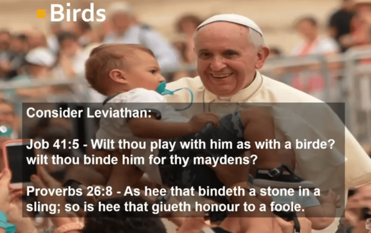 Foxes and Birds – Bible Symbols